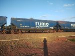 RUMO HTT-351716-1